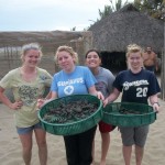 ES/Bio students release sea turtles.